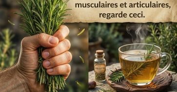 0f4fe898 b5b4 453b a6ba c31ff39115f8