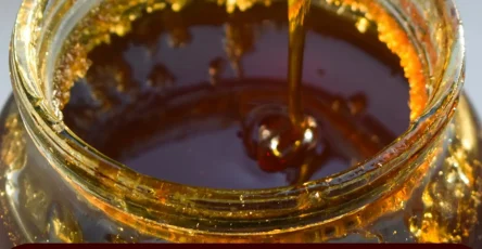 13 aliments qui se conservent tres longtemps et comment les conserver au mieux.jpg