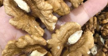 2823c435 23cb 49b8 9b78 b89b3d51ed9c