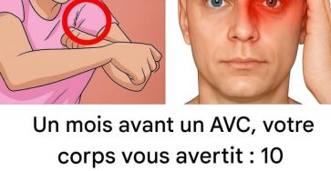 478669558 122155925078364020 7891774500414650537 n 20 184 768x768