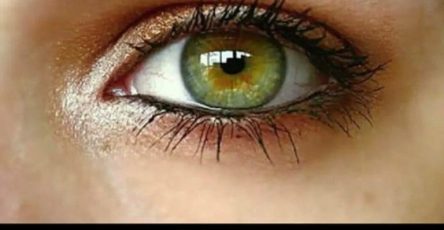 49410a2e 46e2 4198 952e 2b308c38aa37 768x768