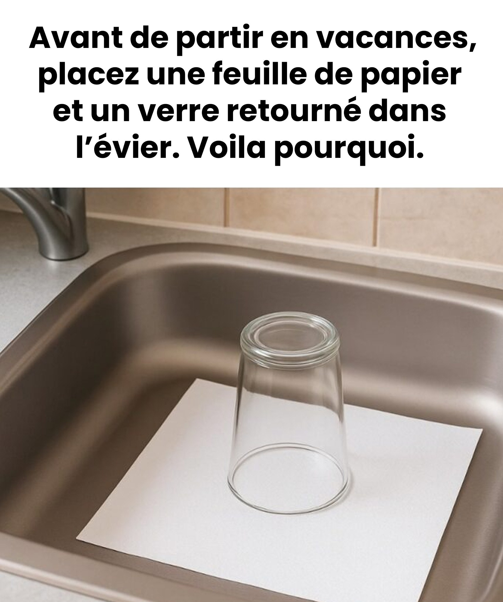 569181412 122246219816164542 1077478061975605027 n 74