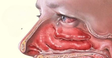 595241479 1257614076197881 1057494595219448627 n