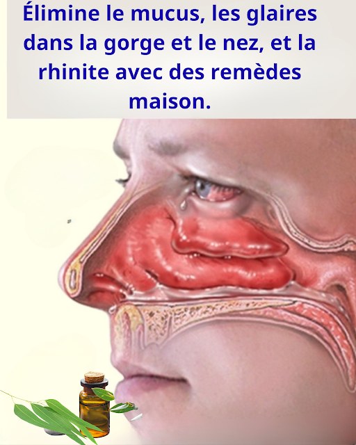 595241479 1257614076197881 1057494595219448627 n