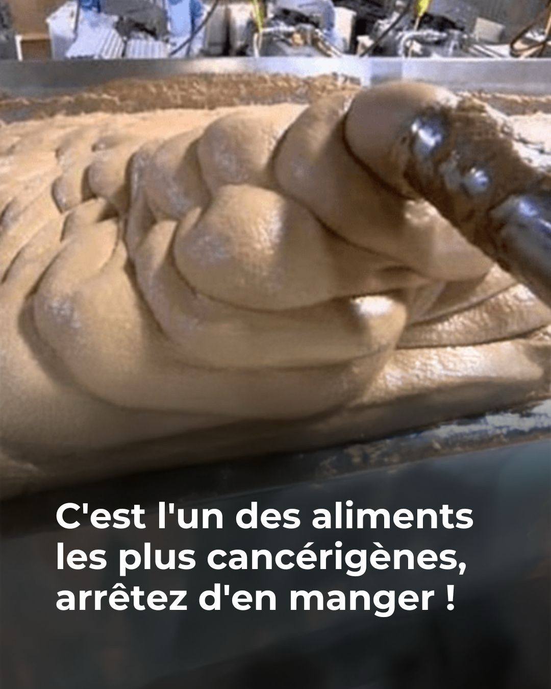 597372131 2649285862093639 6317290267632543600 n