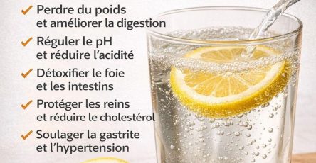 613712076 888807237441312 2307211718536670008 n