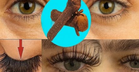 617005295 122167265126606111 6542391222381611121 n