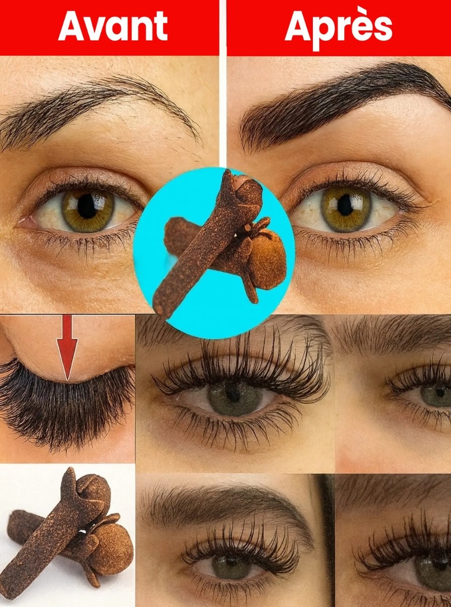 617005295 122167265126606111 6542391222381611121 n