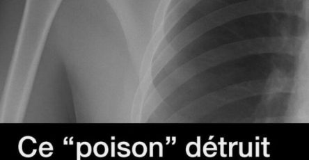 619516483 122097997641230324 5971524067544461694 n 683x1024