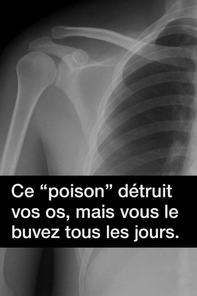 619516483 122097997641230324 5971524067544461694 n 683x1024