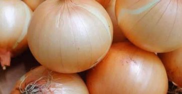 622797221 122243855522111854 3817200033004714282 n