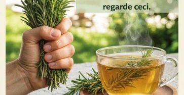 623377814 122110080963198781 2725871492669152137 n 768x987