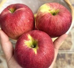 624157381 1219692710088673 356739644554692807 n 250x300