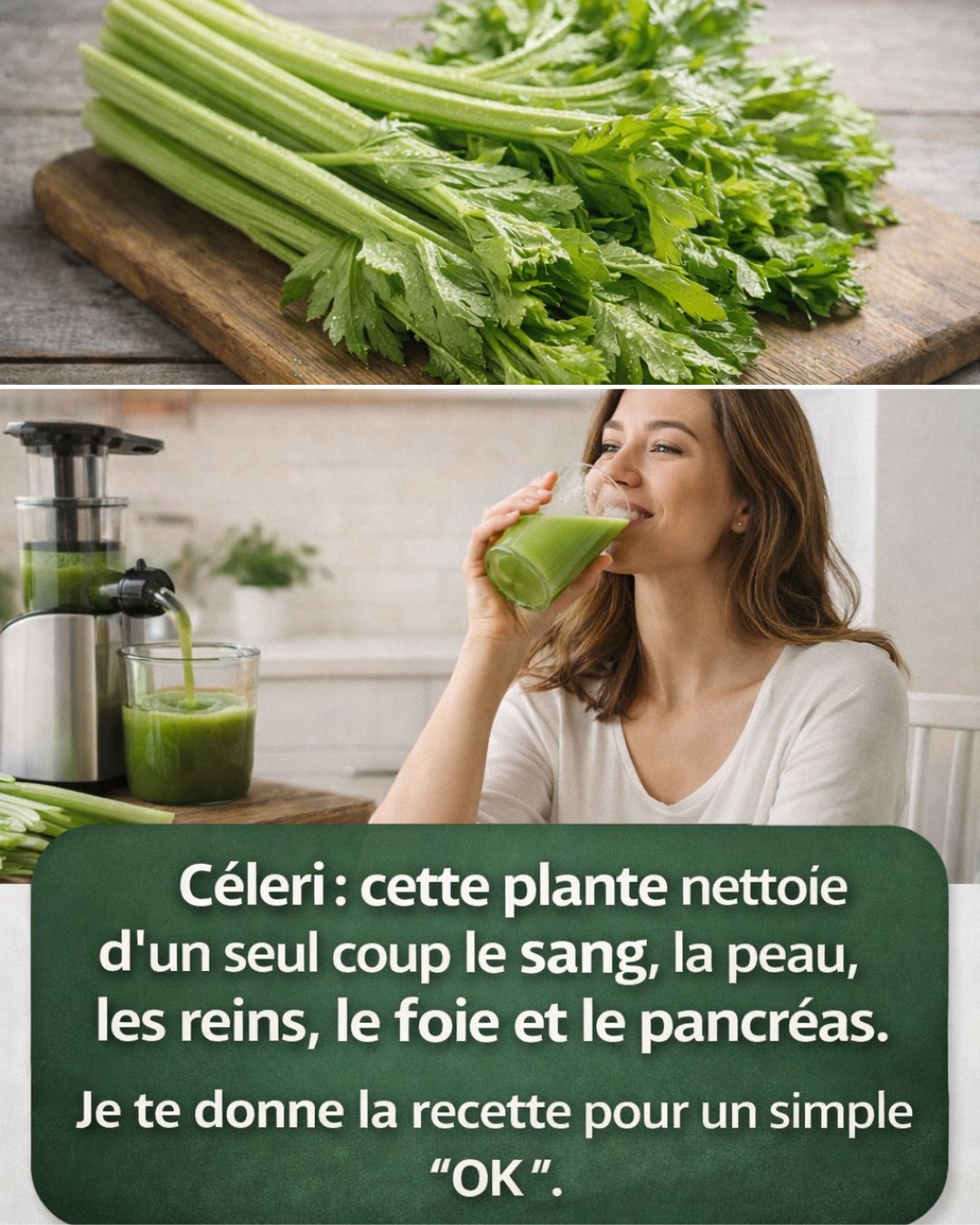 627056097 122119911507057276 2940160372172584837 n