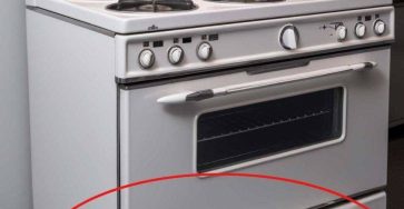 636679487 1658216872006980 1480518136661671314 n