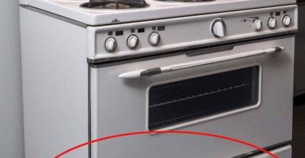 636679487 1658216872006980 1480518136661671314 n