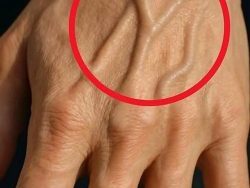 63abd927 f1ae 44cf b090 04e980bf58d9 250x300