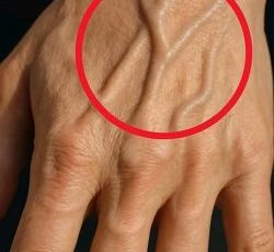 63abd927 f1ae 44cf b090 04e980bf58d9 250x300