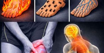 644971857 122241442418121260 6048326229522454094 n