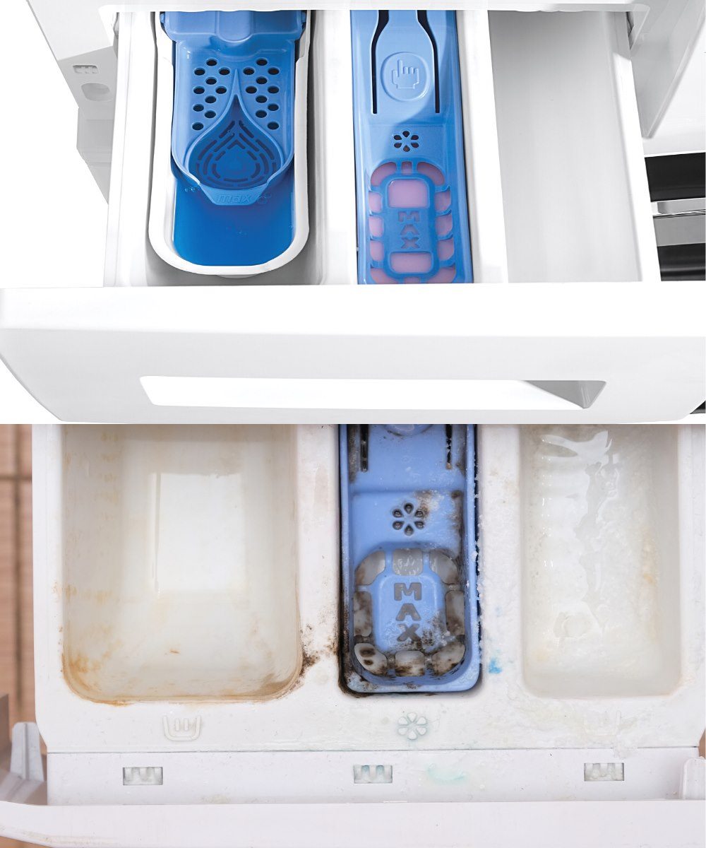 649126957 1488246076027420 296740775147380782 n