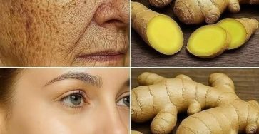 649184525 122095263957125404 7146184801555863582 n