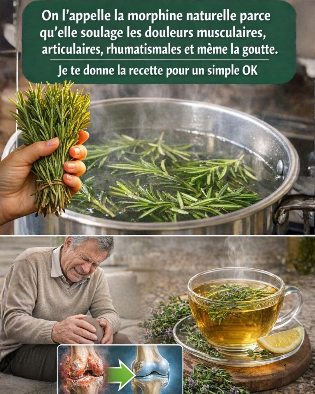 649991985 907605585208694 2708000089037761420 n