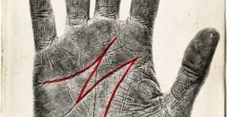 650430169 122095166480882226 8610331072004362261 n