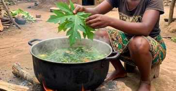 651815449 899722419545007 449863513604258295 n