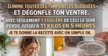 652472940 122116820145205411 5716088410691900014 n 768x953