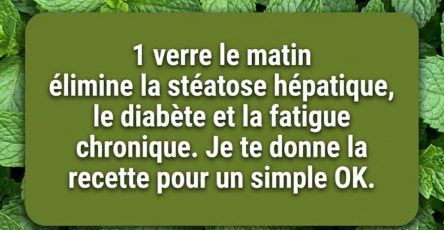 652983664 122127234585049208 7542772900425132003 n