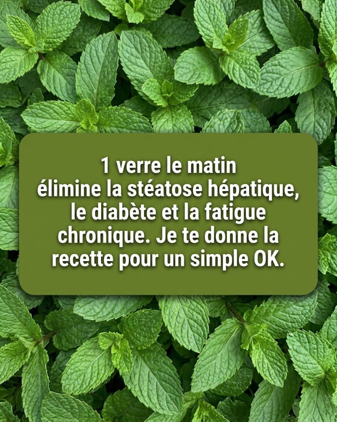 652983664 122127234585049208 7542772900425132003 n