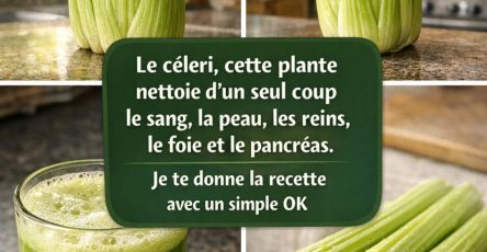 653362759 122126892585049208 8705451441560749594 n (1)