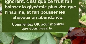 654210732 1533323978798490 4342101637797877083 n (1)