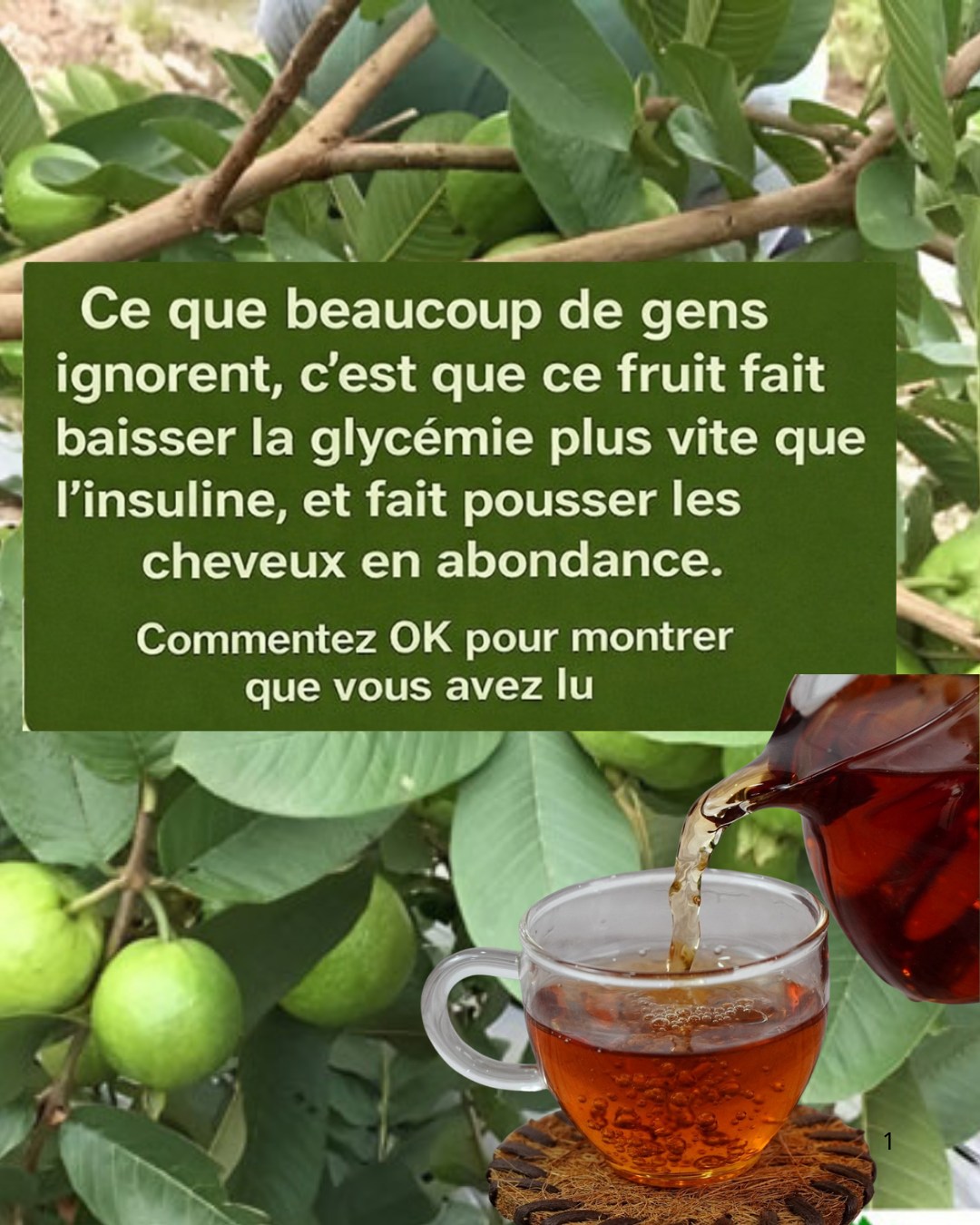 654210732 1533323978798490 4342101637797877083 n