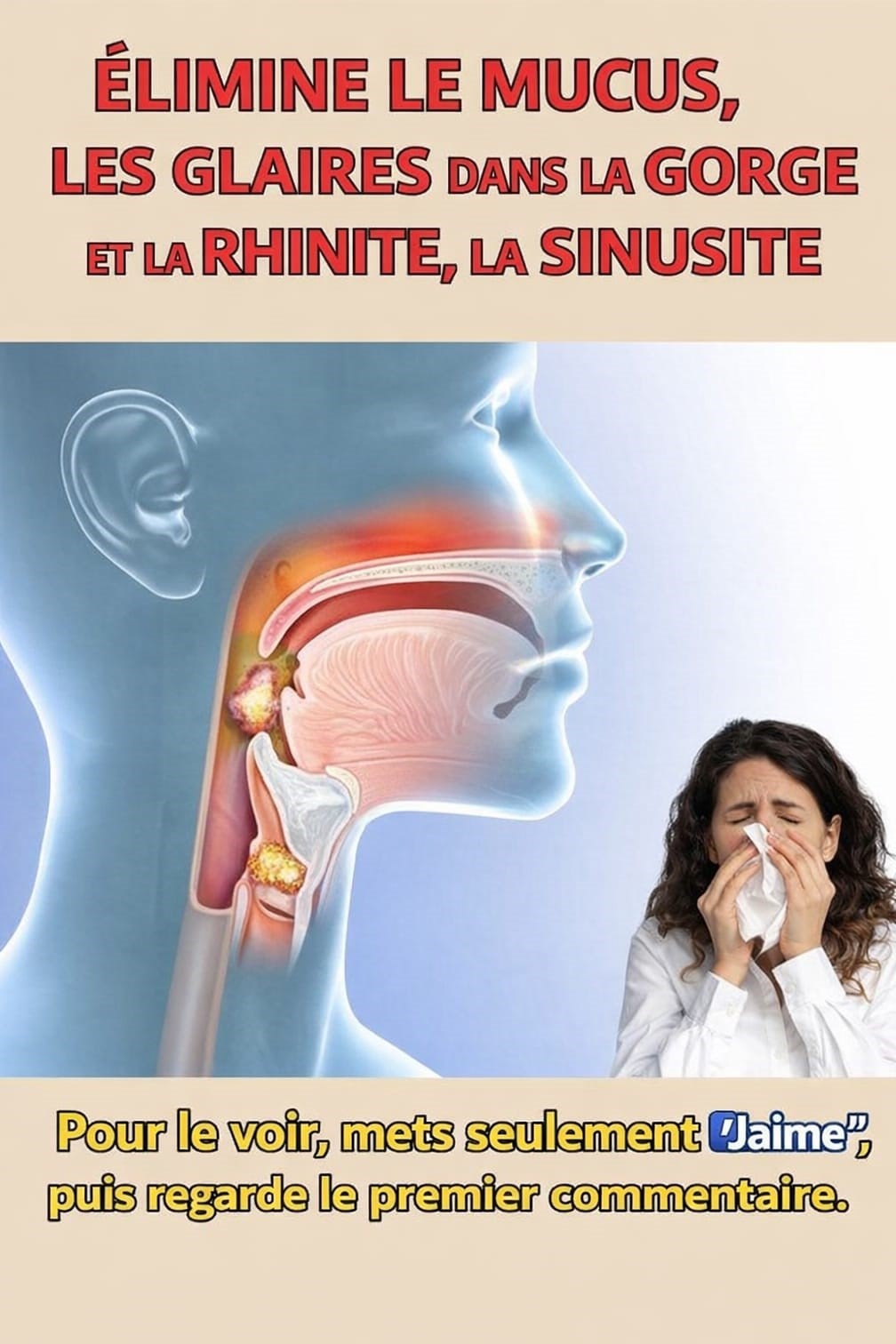 656912374 969787672377212 2026153738244244886 n