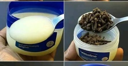 7e6b3198 dbb6 48e8 aa46 caeb9ec23cf0