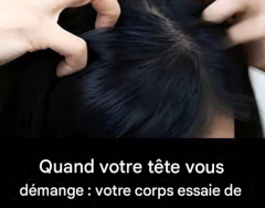 81342e0b 6f16 437a ab73 d97f86ed8c7e 27 240x300