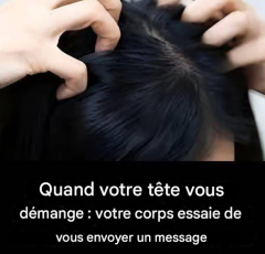 81342e0b 6f16 437a ab73 d97f86ed8c7e 27 240x300