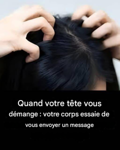 81342e0b 6f16 437a ab73 d97f86ed8c7e 27 240x300