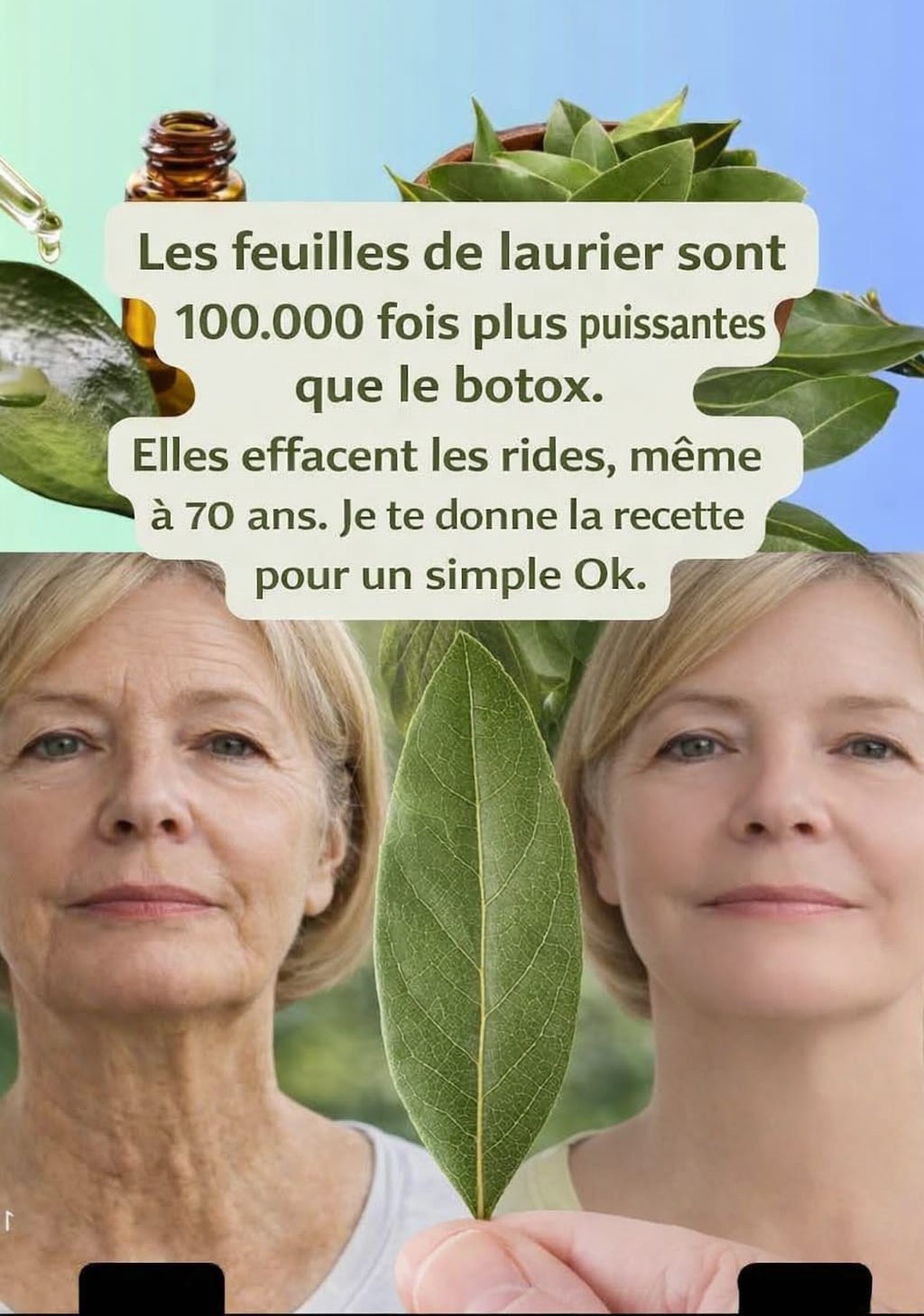 94bff66e 46fe 4fda 91a4 e8229d830156