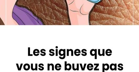 Untitled Project 2026 01 31T143836.946