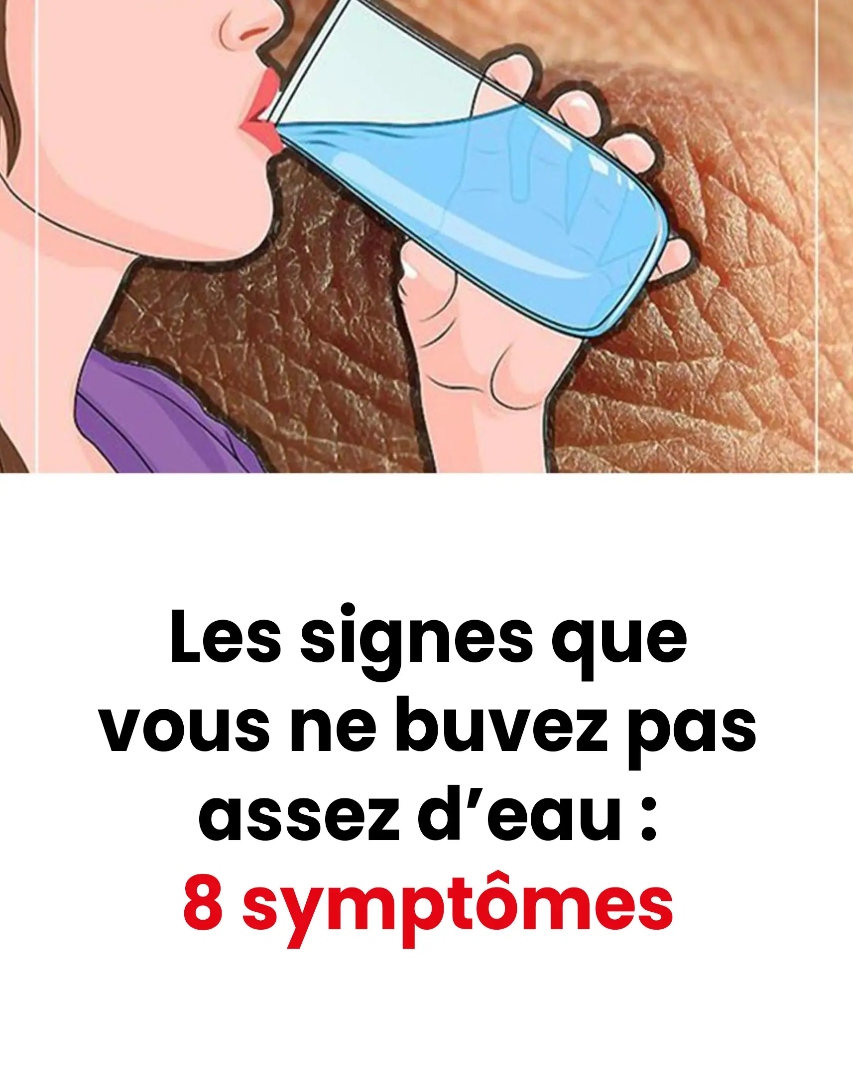 Untitled Project 2026 01 31T143836.946