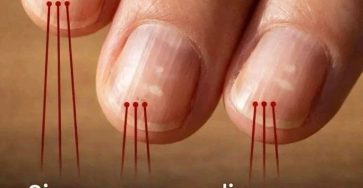 A392fab8 9b3d 414b 94c4 992cedb23d51