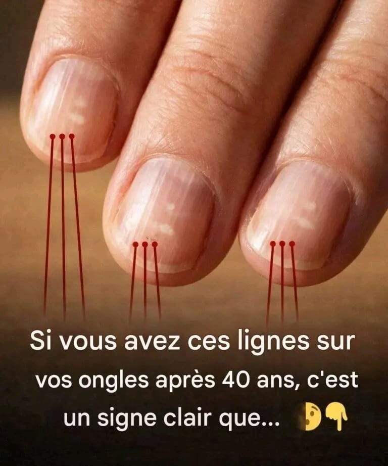 A392fab8 9b3d 414b 94c4 992cedb23d51