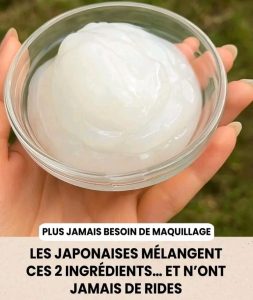 E04aec49 c803 4987 8279 d57672997f81 253x300