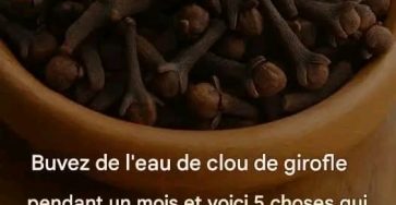 E6958351 d8a1 40ff af60 99eed698db4e