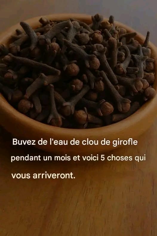 E6958351 d8a1 40ff af60 99eed698db4e