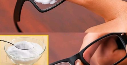 E99f68e3 1750 42f6 960c aa0c30fd99c1