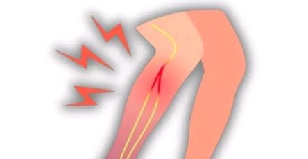 Fb655b6d 300b 4cd0 9f4a 40e1fe1cf224