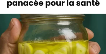 Lancien remede tibetain a base dail un remede pour des dizaines de problemes de sante.jpeg 768x918 (1)